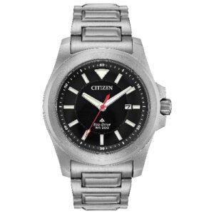 citizen punisher watch