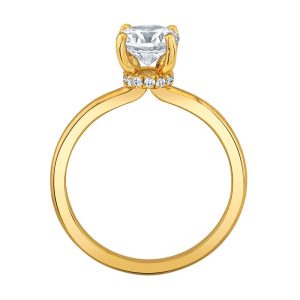 H Diamond Hidden Halo Engagement Ring